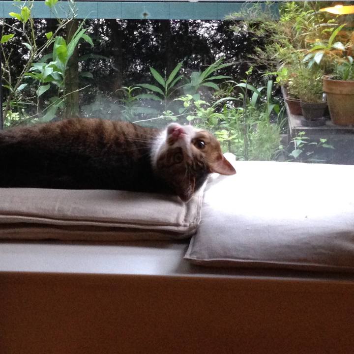 Dae2dcac c100 41fb 827e 3ad5bdd3ab19