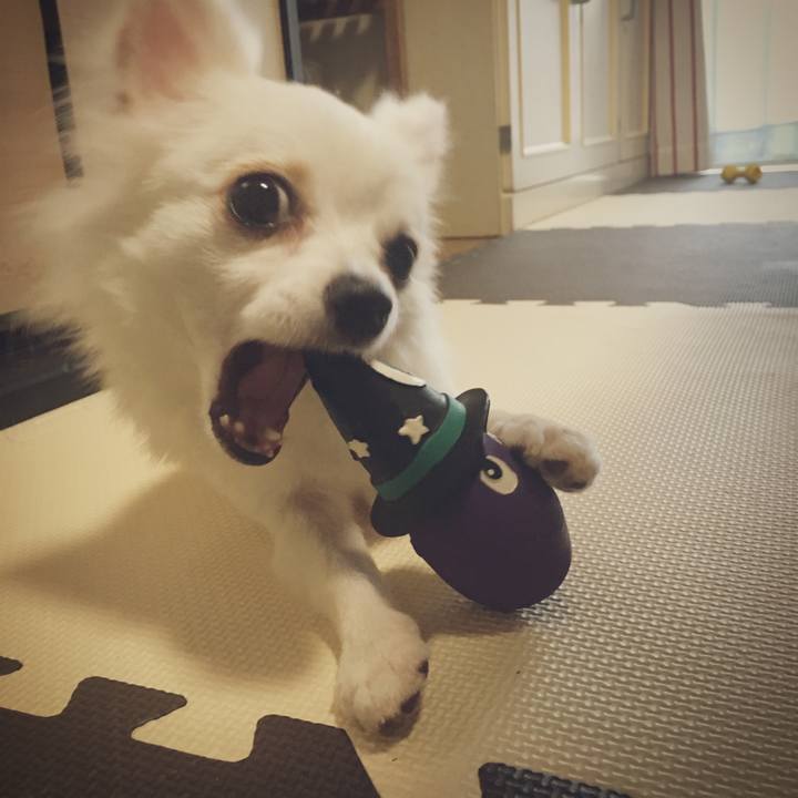 Dae32067 a000 4f98 b5ec dae9a636c4d9