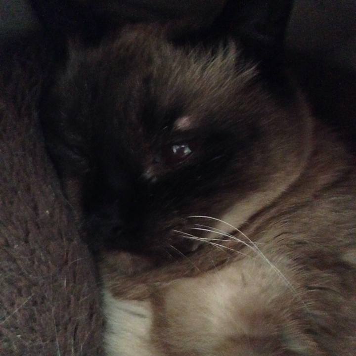 Dae3f1ec 2697 4236 bc13 aff9421d33f7