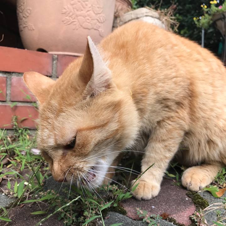 Dae3fdcc 62c1 4461 9515 1c29f4af7d4f