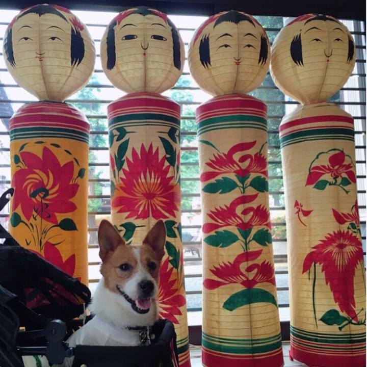 Dae41389 f733 4f09 b827 c7258c187023