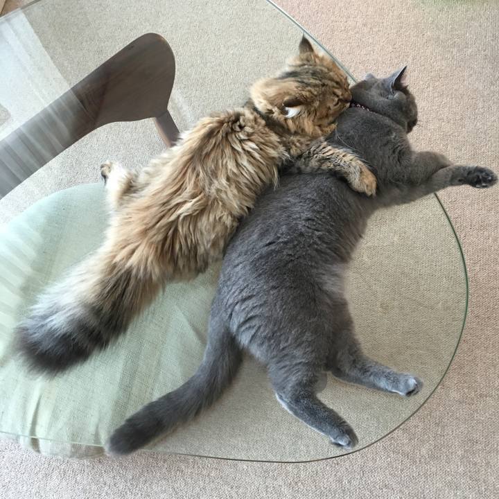 Dae41597 ddbb 4d46 af91 c6d60e8d8812