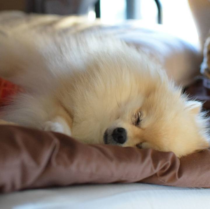 Dae471be be5f 4013 9eb3 0ddce7b38bef