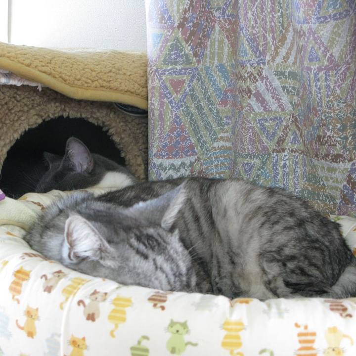 Dae57790 8b8e 46c3 a0bf 2396cddd63e7