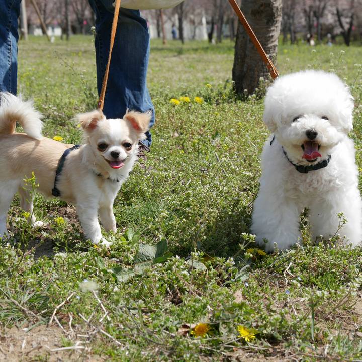 Dae68233 fd76 4959 8486 1ef75cf83a9a