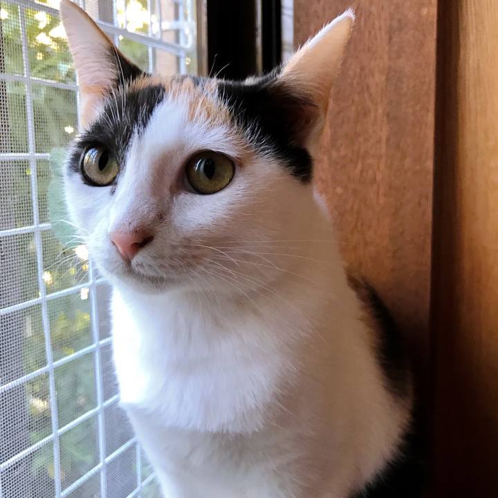 Dae6c1c8 1988 4fd7 9ae1 5002cbcf215c