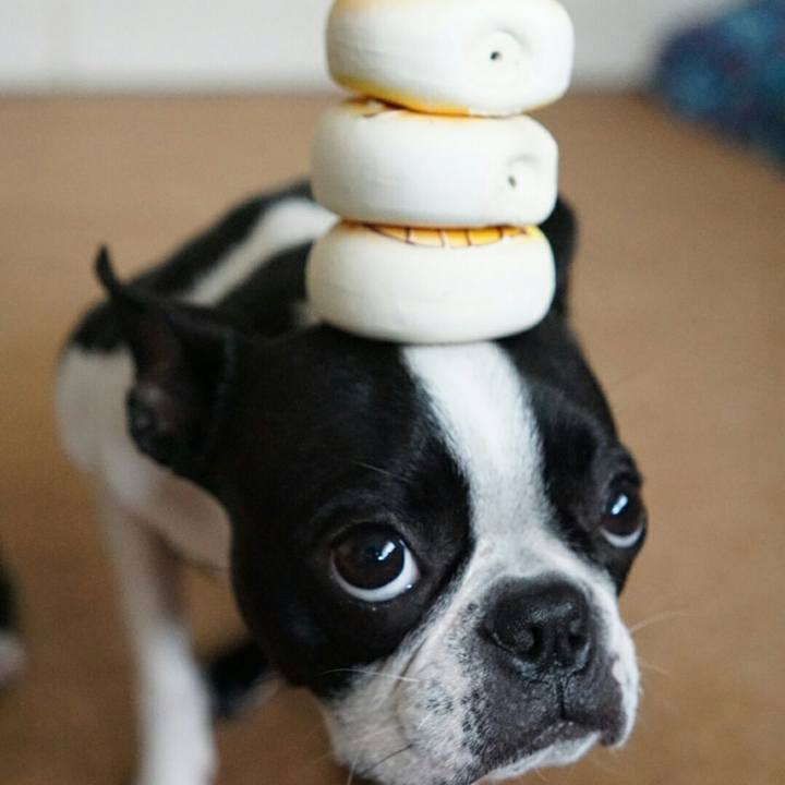 Dae6fe8f bcf8 48db 810d dd9510f59501