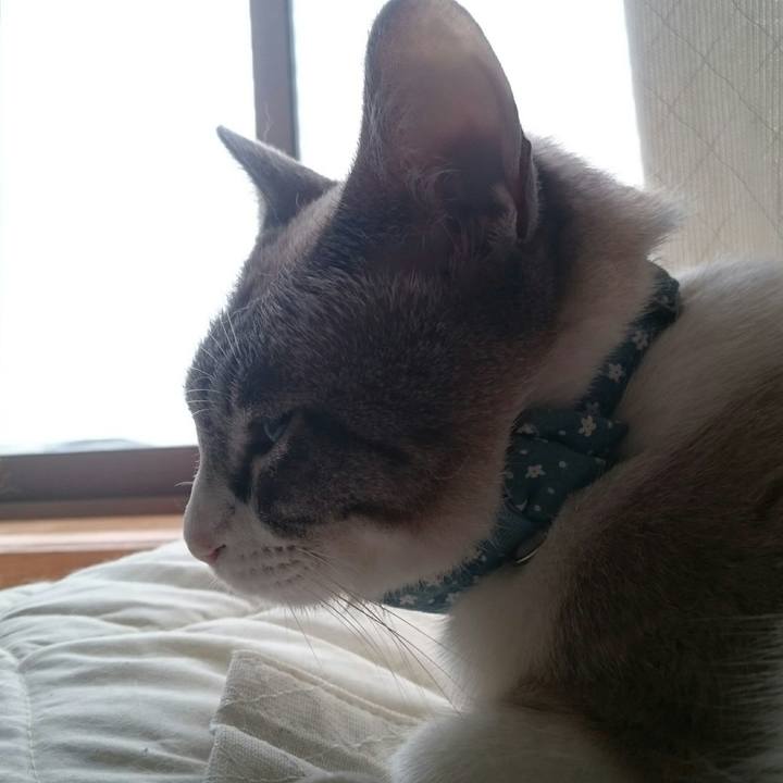 Dae72186 5f7f 40d0 bd42 403102adfeec