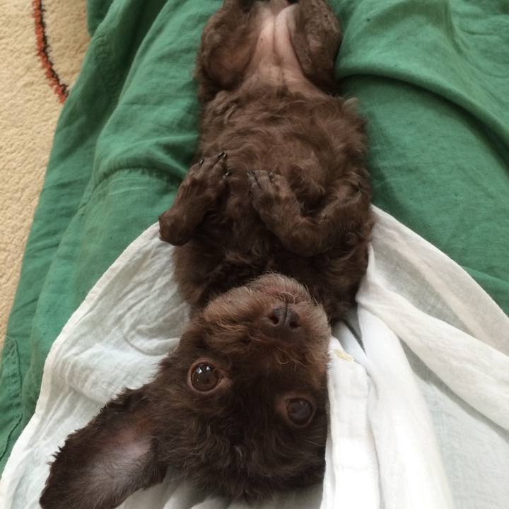 Dae73816 30c3 469c 97bf f078c650a0fb