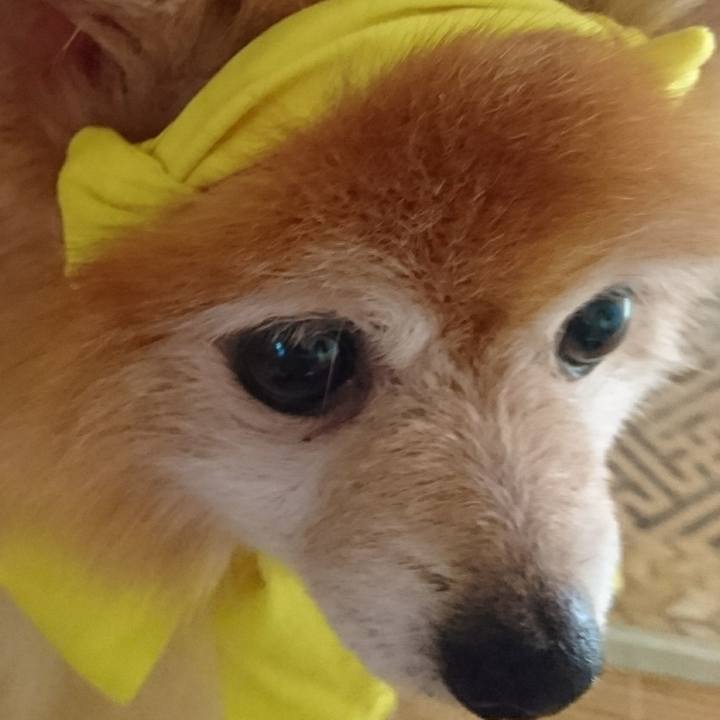 Dae77cea a660 4797 8023 3bdc5b588be3