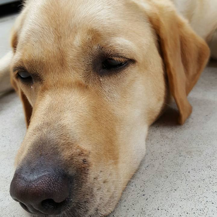 Dae88d52 7903 4025 8700 4bc6b046a47c