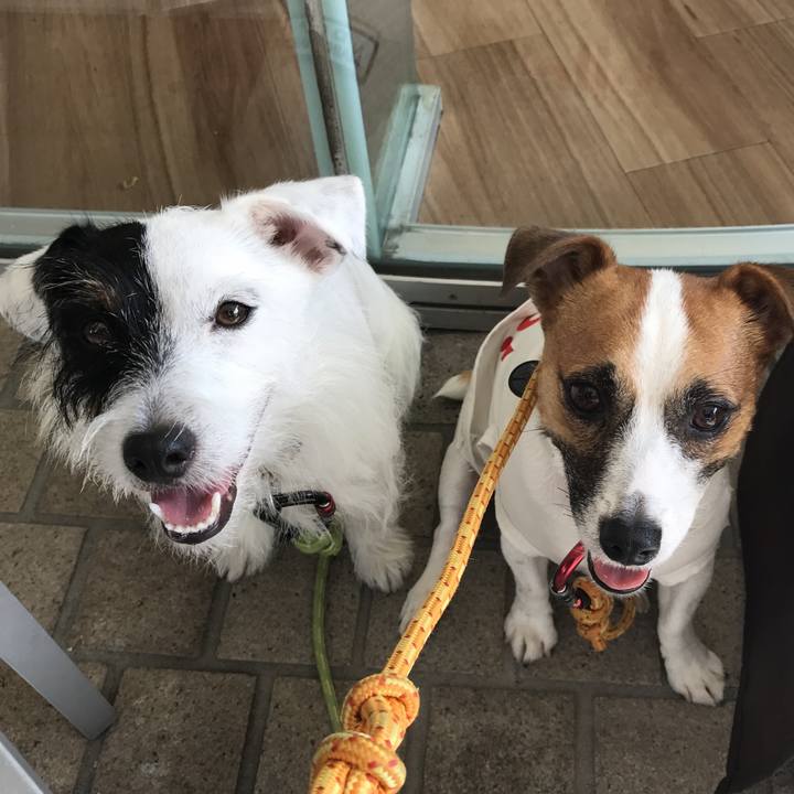 Dae8e48e c7e5 4ad3 a974 98110348b1ba