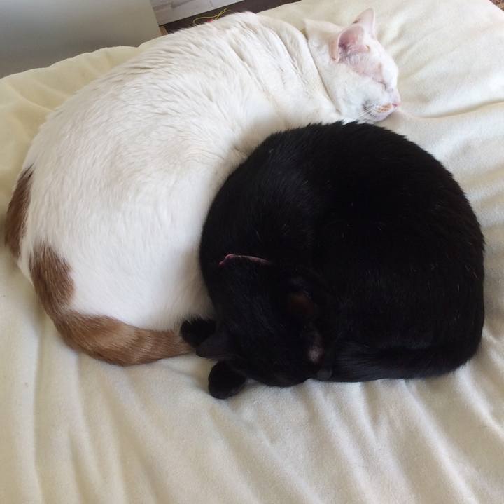 Dae92e90 d499 4d13 8ae2 d268d9c7a513