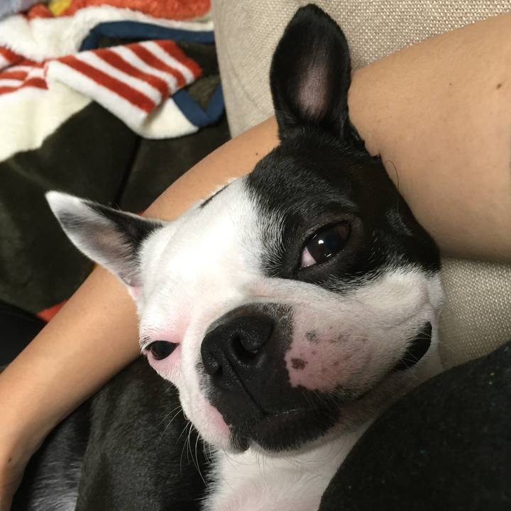 Daea0911 ad5c 484e bc35 76256d840068