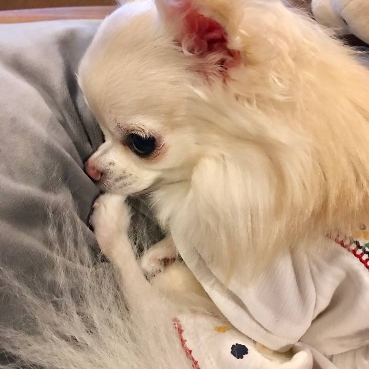 Daea9435 fb6a 4e1e b0df 9f96214de2a6