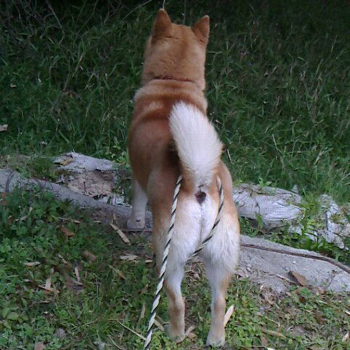 Daead5f3 fb83 4837 8603 493a00466df5