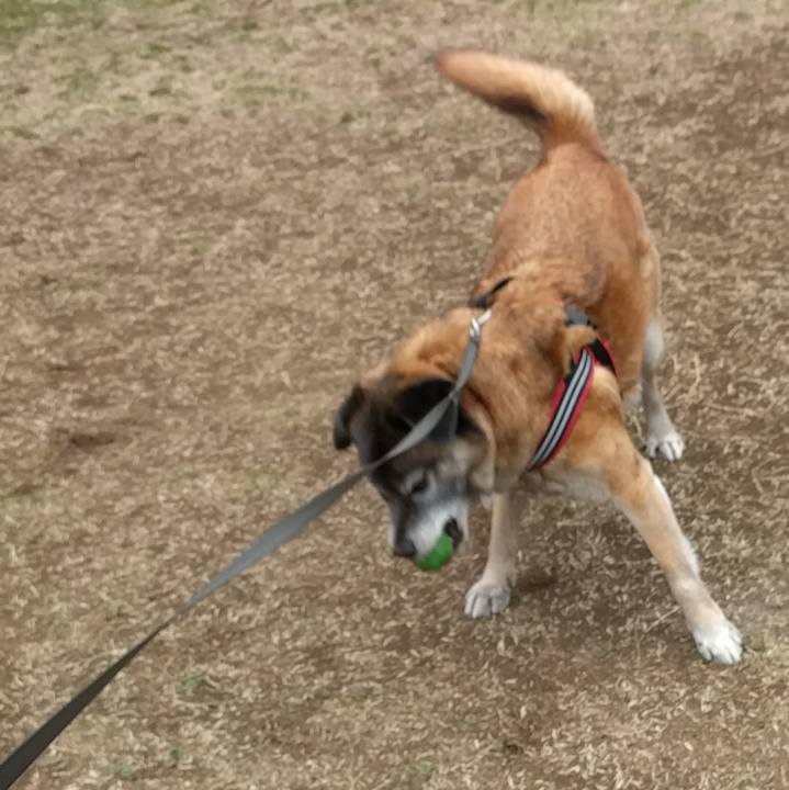 Daebf0d7 2ff5 4a49 8628 b137682436b3