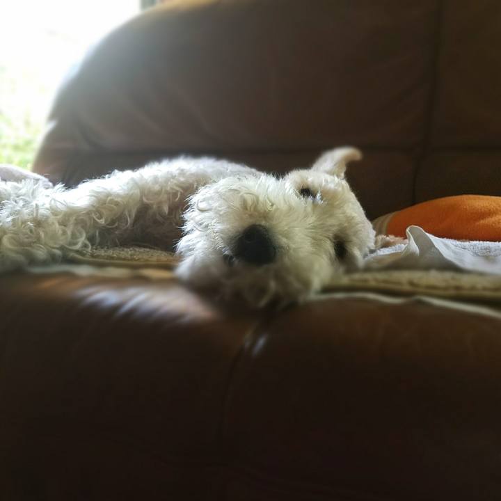 Daec12c0 66b3 4a98 ad19 c21e999e7241