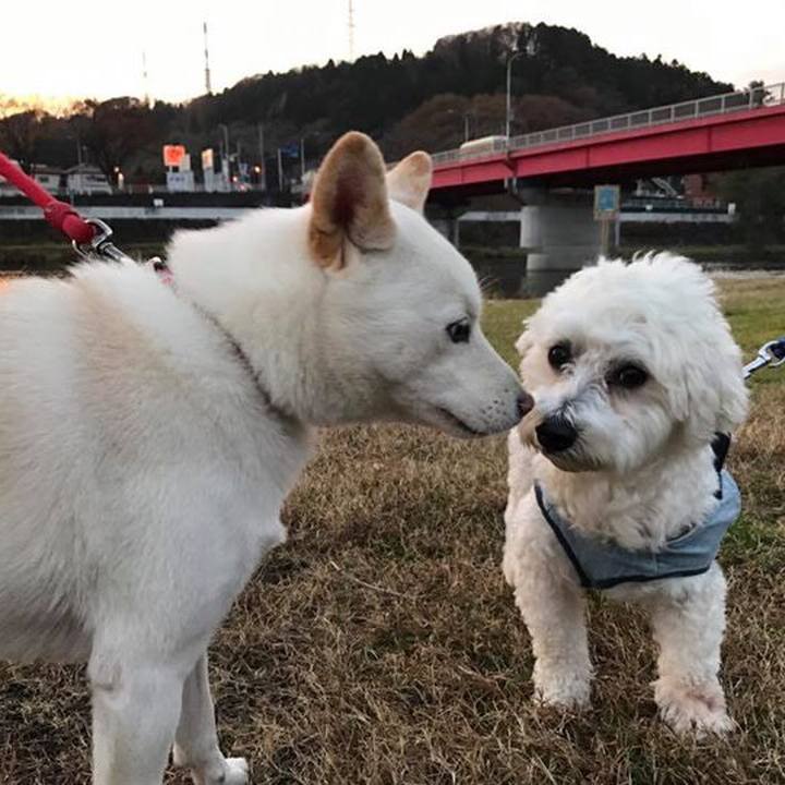 Daec4e70 ac64 45af a07e e3dd8e910585