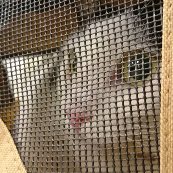 Daecf955 4447 4498 b8f3 19bb55f40e66