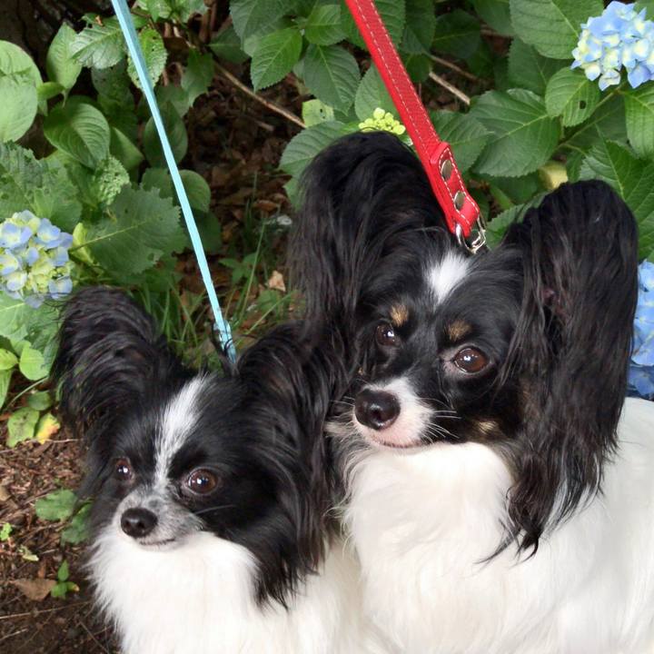 Daedc9f7 9356 4373 abac 50efb8f42431