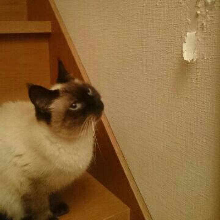 Daedff63 37b0 4d05 8b3a b8746faeb357