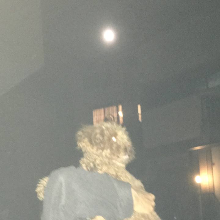 Daee43ca fd24 469c b3d0 f3cb07823331