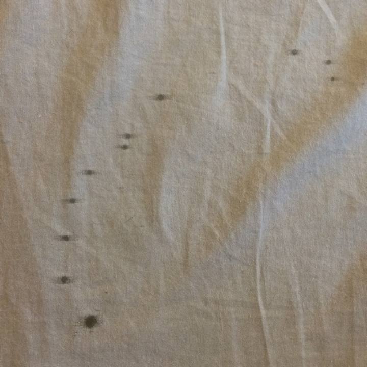 Daee914b 17c5 4391 9cec 094f046d93f0