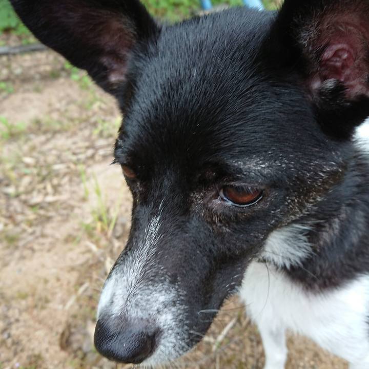 Daef2de5 d1dc 413e abbf 6fbfead4d551