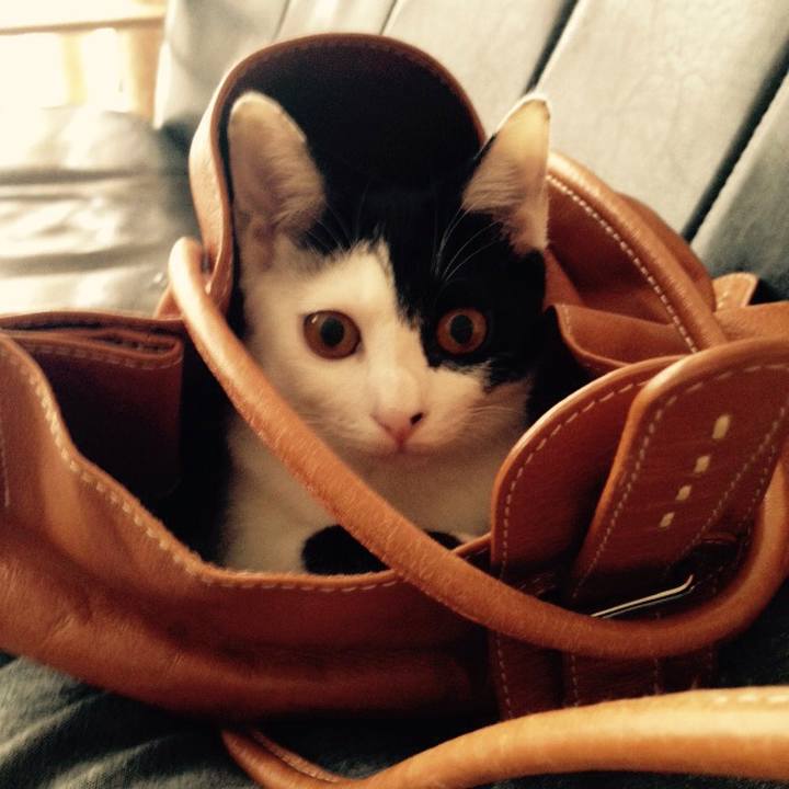 Daefc054 401d 4f6b b01f b385c55e2927