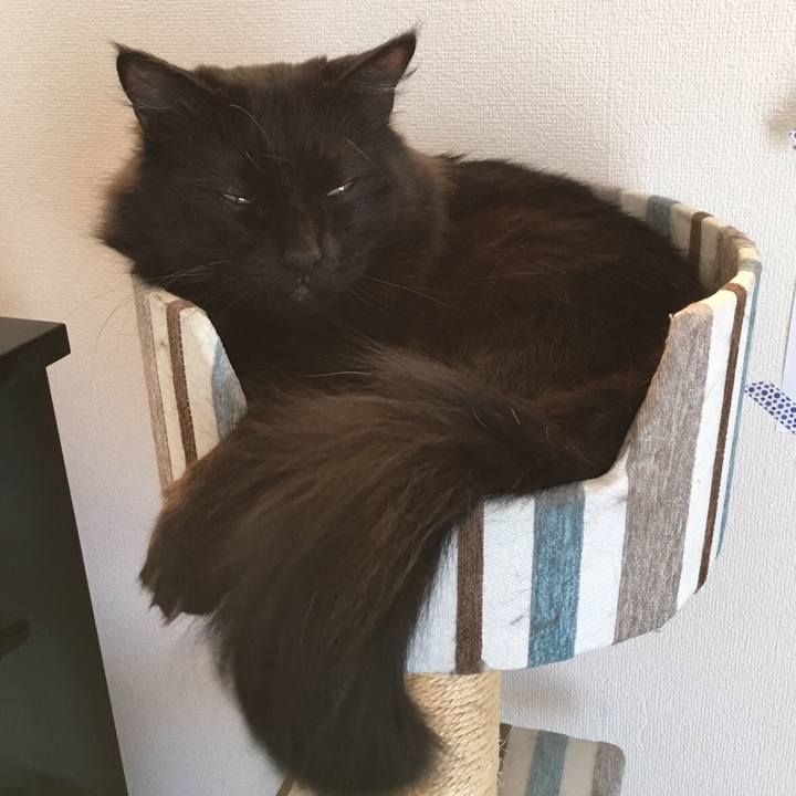 Daefe920 c673 4584 9f3d 4857db84c025