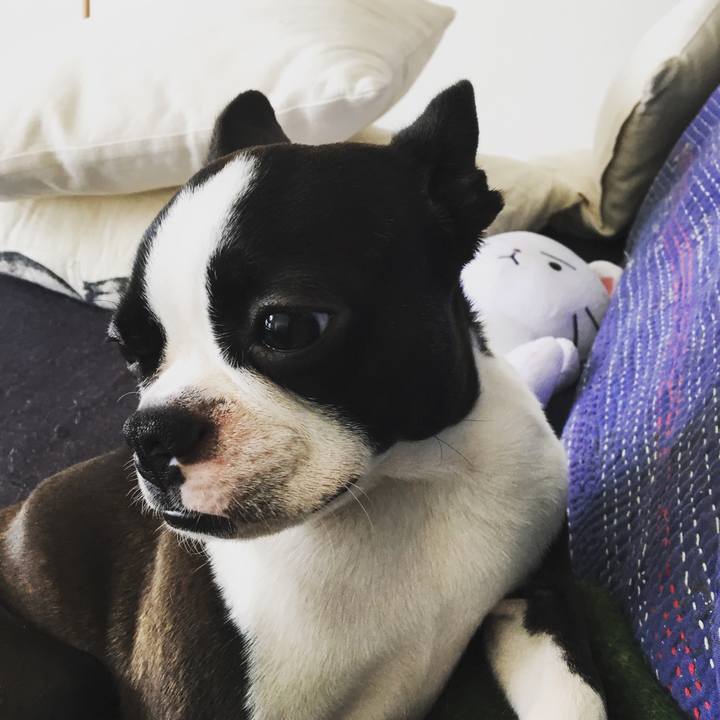 Daf072b9 12be 4b28 a76e e0953869b7f8