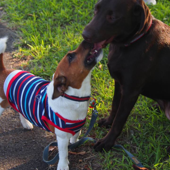 Daf07bc6 0100 43cc b7ae a2efbe46809e