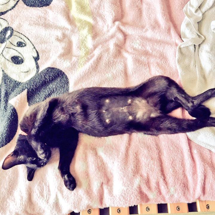 Daf0bf5c db03 4d59 b0d3 46f199774550