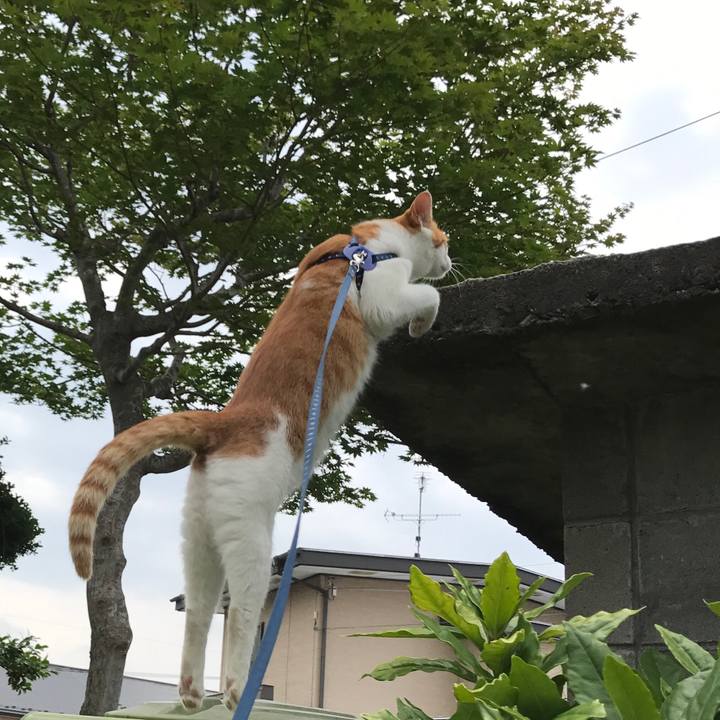 Daf21881 66c2 4186 b287 cd252260db05