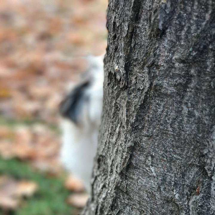 Daf27d0d 4e13 4eb5 b84e 6a73a182c867