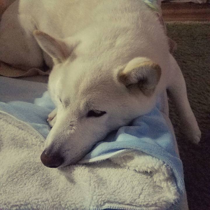 Daf2f5a8 70b1 4e6f a187 2362f449e9e1