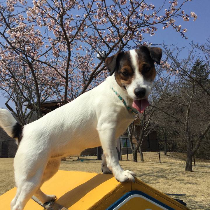 Daf3b5df 818d 4775 b2ef 0d0ecfcc2b02