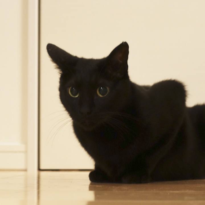 Daf44779 d716 4ca4 9f08 770628c81987