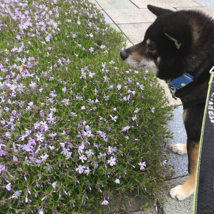 Daf45582 40ab 4d70 8d28 79befe7d817c