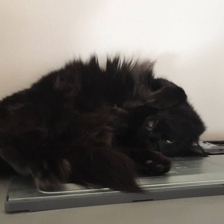 Daf486da 4315 46bc b3c2 6b1b8c8cafd2