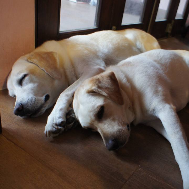 Daf4c063 ffe7 423a 80d1 4f159f0db717