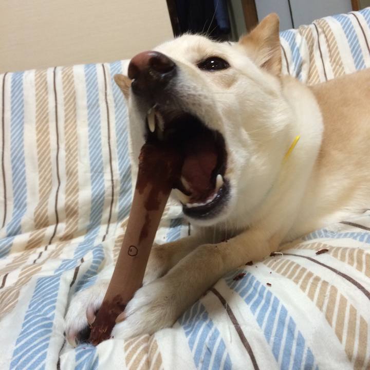 Daf51f01 095f 494d 826c 3de81bec058c