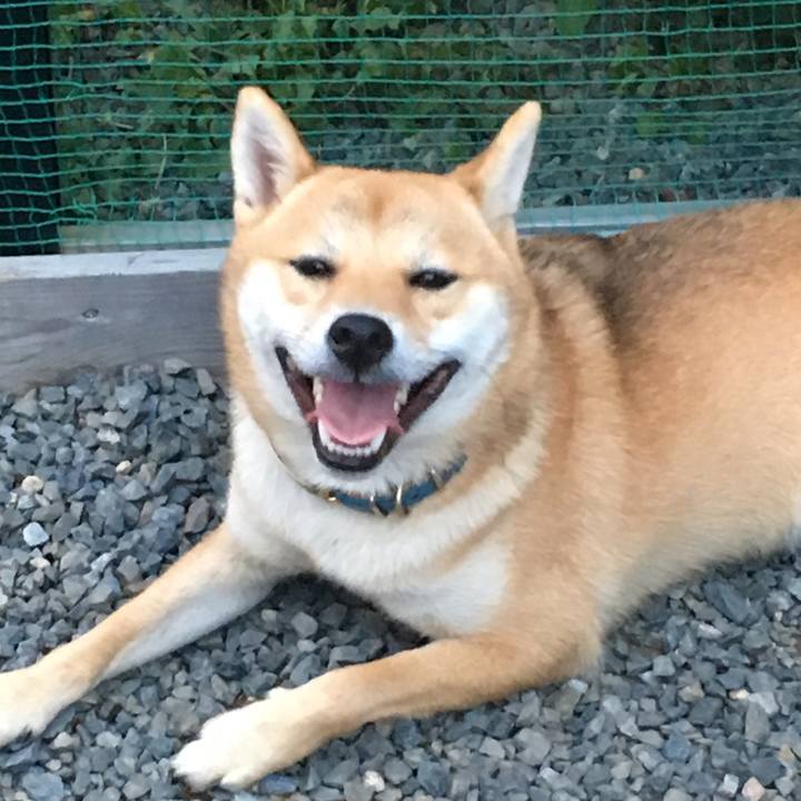 Daf686b2 407f 4fd4 a332 a0085beafccf