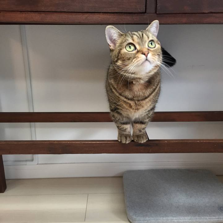 Daf68bec 0455 4319 b378 8334fc2f2ab4