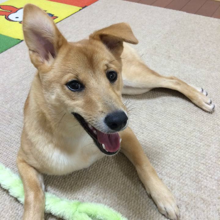 Daf703ff 37b1 4777 9ca4 f2b0d4173a33