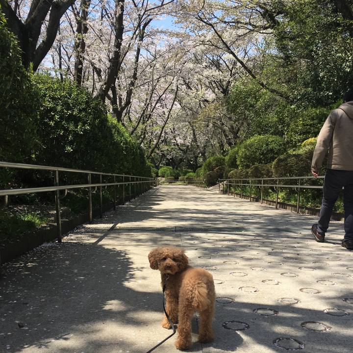 Daf79b50 a339 4afc a55f c25e7c7843c3