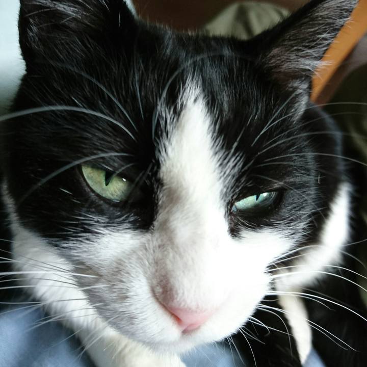 Daf7e184 8d91 4672 81a8 59139bb0b804