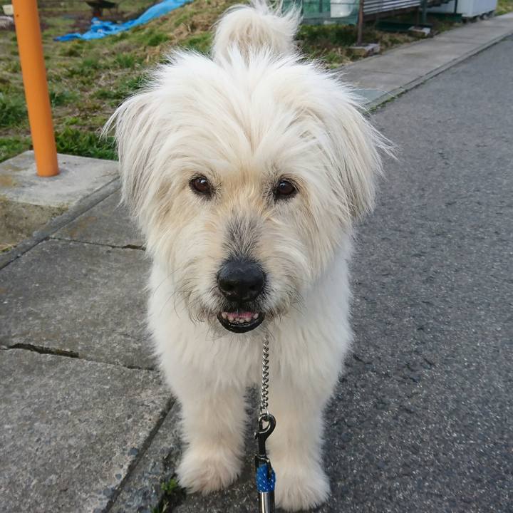 Daf80253 e8dd 4bdc 9f11 1a53624c5fc2