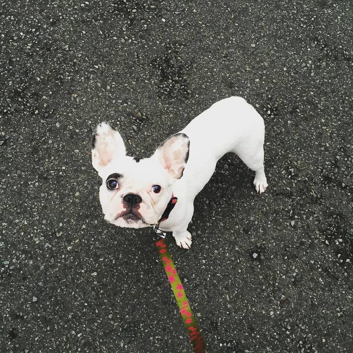 Daf80d56 4fb1 4908 86ef e7c32b047269